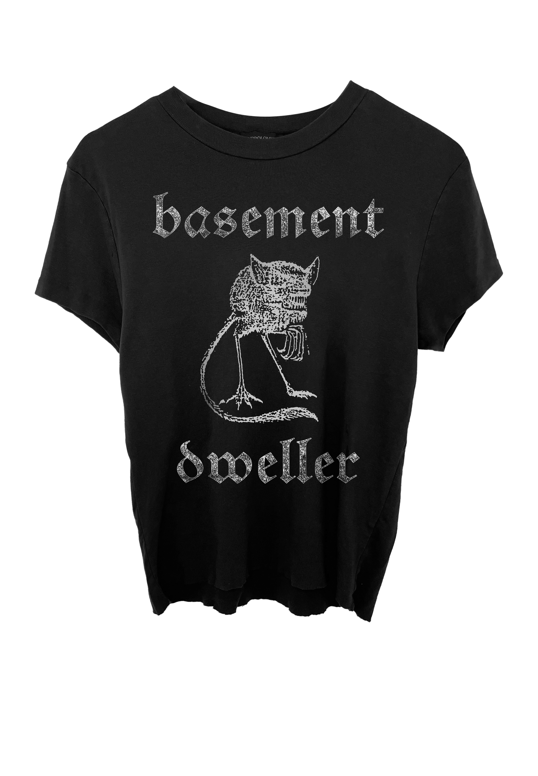 BASEMENT DWELLER