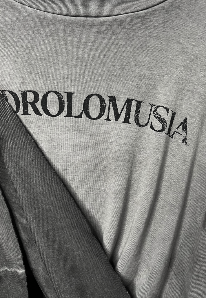REVERSE WASHED / LOGO
