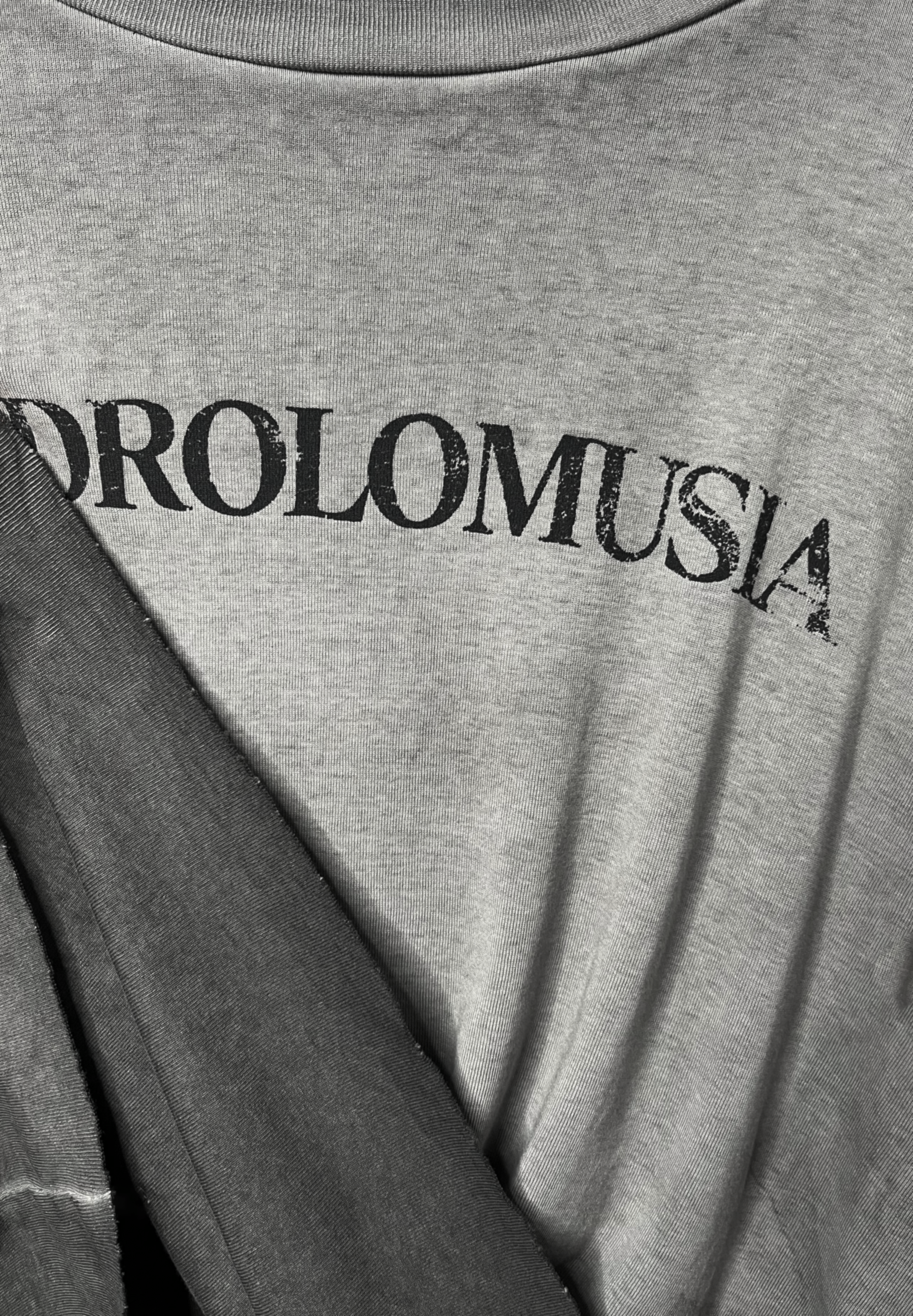 REVERSE WASHED / LOGO