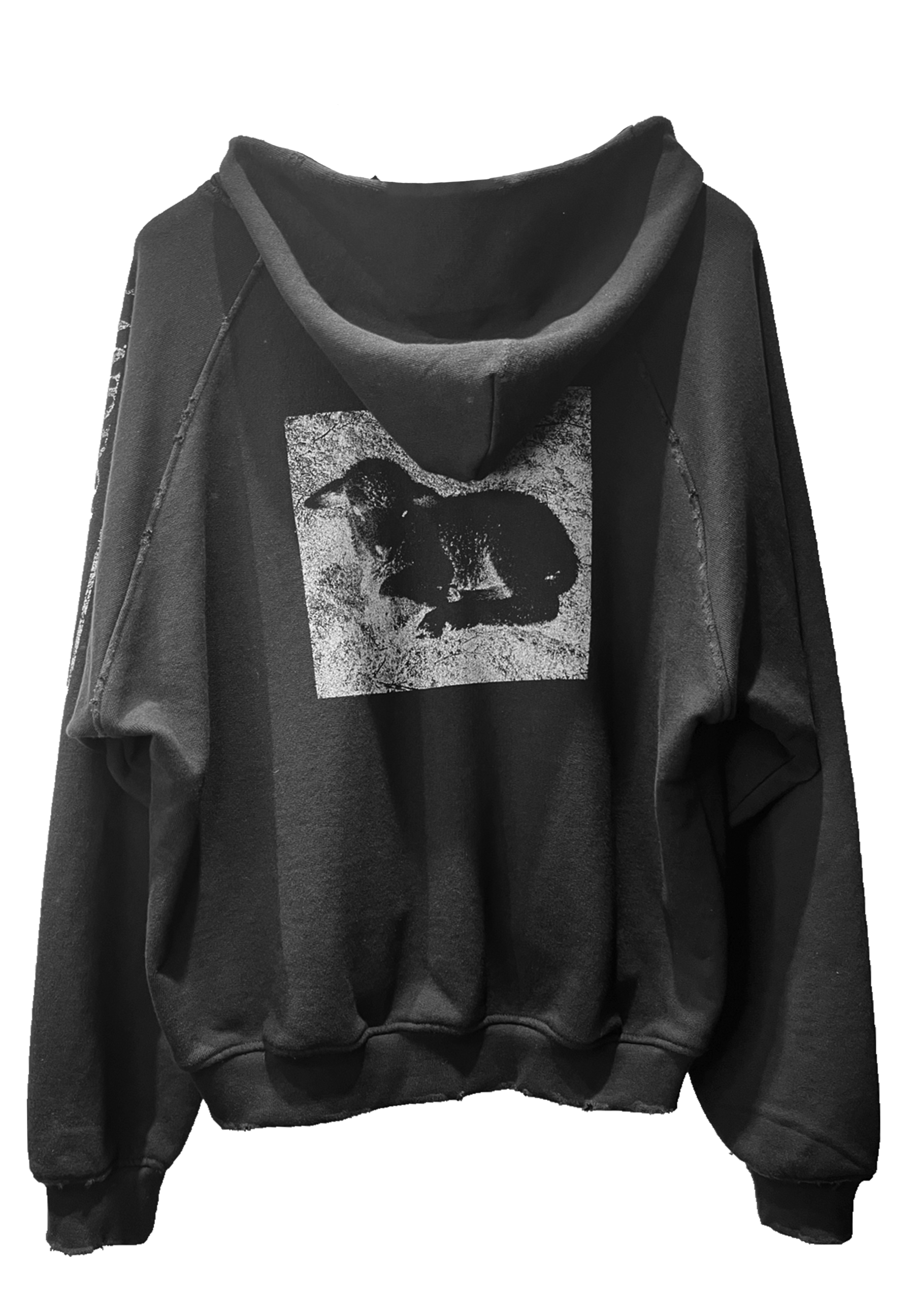 WHITE SHEEP / BLACK SHEEP