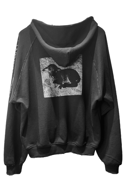WHITE SHEEP / BLACK SHEEP