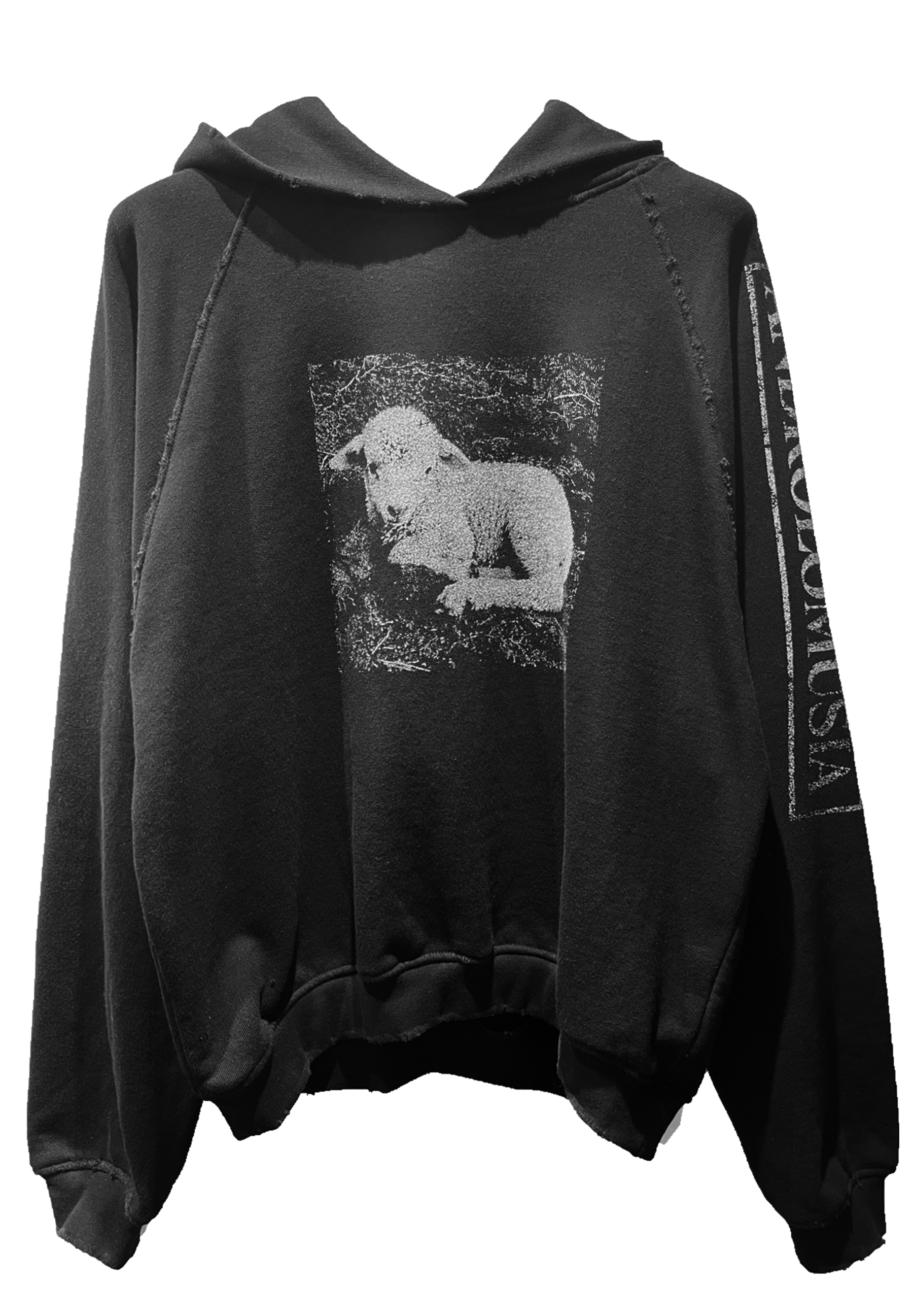 WHITE SHEEP / BLACK SHEEP