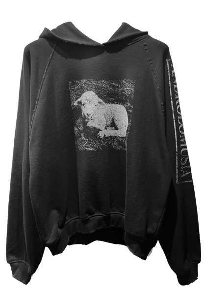 WHITE SHEEP / BLACK SHEEP